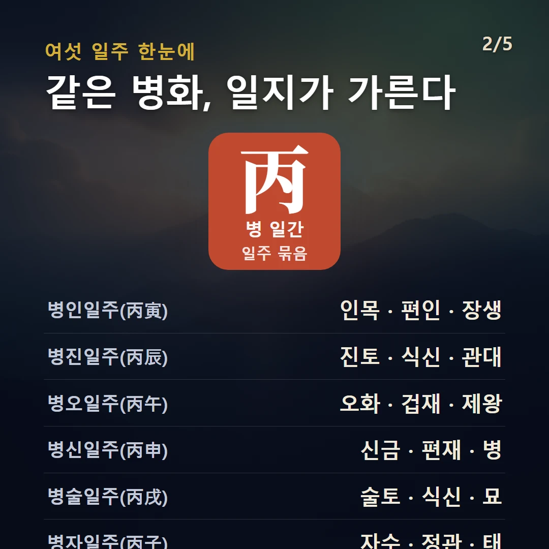 병 일간 일주 구조 — 병화 일간의 여섯 일주(병자·병인·병진·병오·병신·병술)를 데이터로 비교