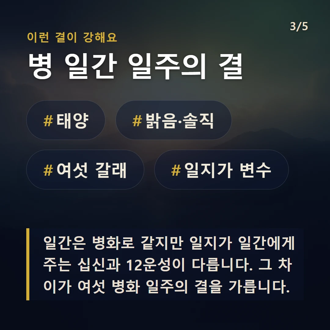 병 일간 일주의 결 — #태양 #밝음·솔직 #여섯 갈래 #일지가 변수