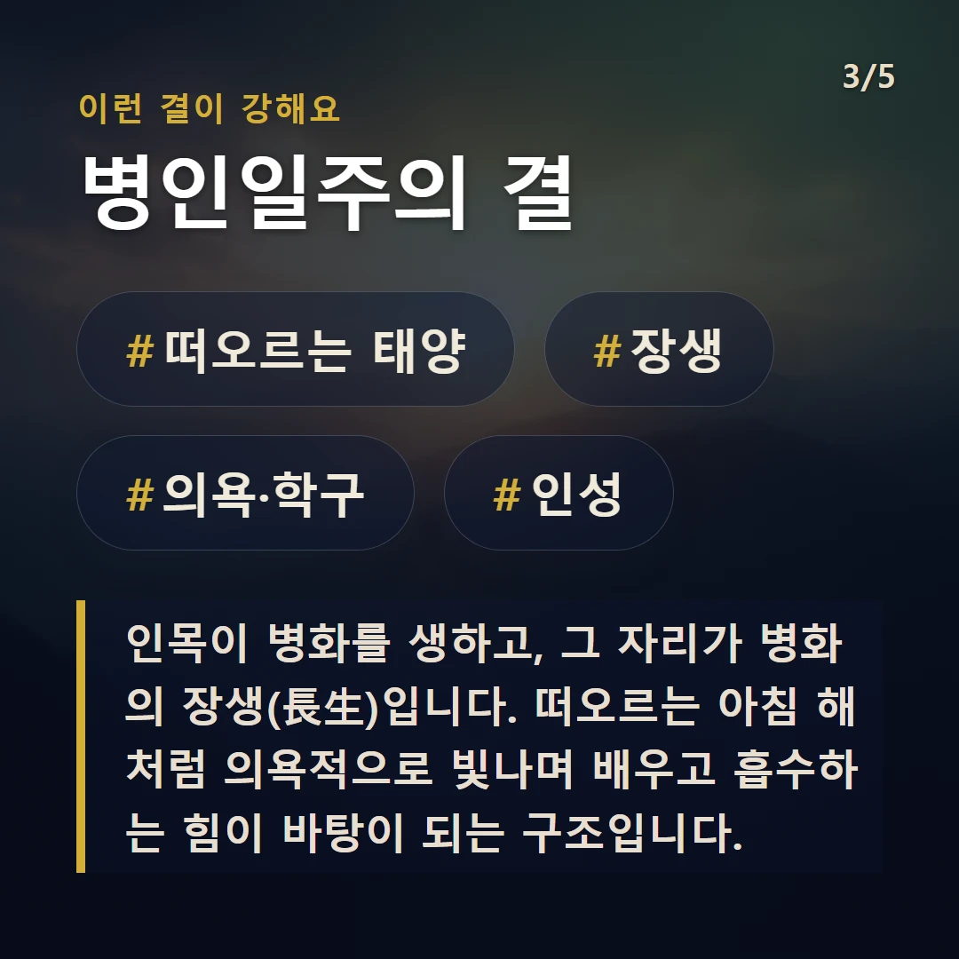 병인일주의 결 — #떠오르는 태양 #장생 #의욕·학구 #인성