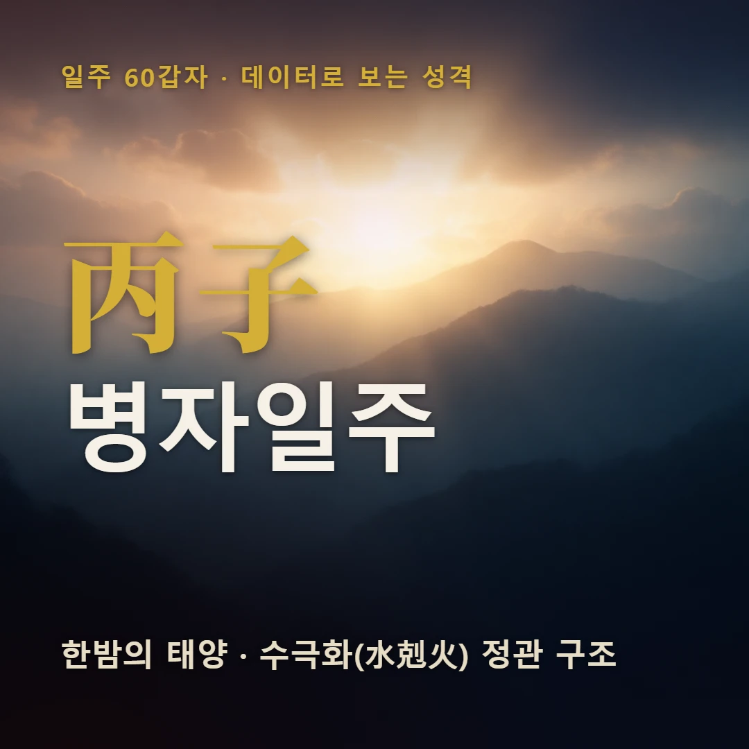 병자일주 표지 — 한밤의 태양 · 수극화(水剋火) 정관 구조