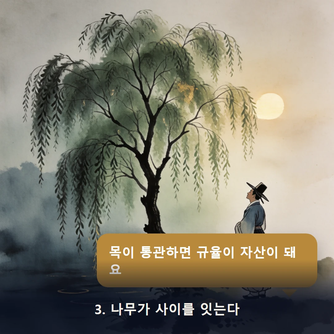 웹툰 3컷 — 3. 나무가 사이를 잇는다 (목이 통관하면 규율이 자산이 돼요)