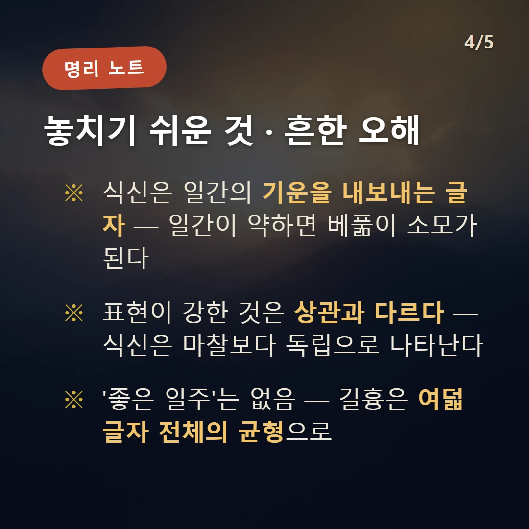 병진일주 주의·오해 — 식신은 일간의 기운을 내보내는 글자 — 일간이 약하면 베풂이 소모가 된다 / 표현이 강한 것은 상관과 다르다 — 식신은 마찰보다 독립으로 나타난다 / '좋은 일주'는 없음 — 길흉은 여덟 글자 전체의 균형으로