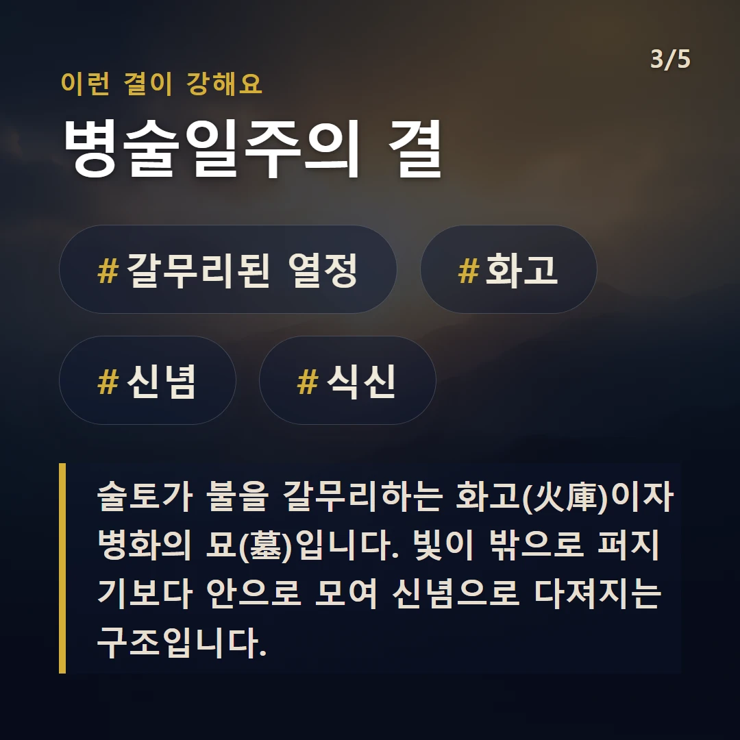 병술일주의 결 — #갈무리된 열정 #화고 #신념 #식신