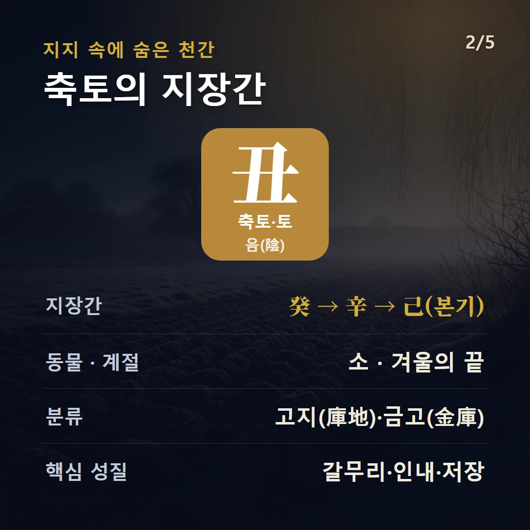 축토 지장간 — 토 음(陰), 지장간 癸 → 辛 → 己(본기), 동물 소, 겨울의 끝, 고지(庫地)·금고(金庫)