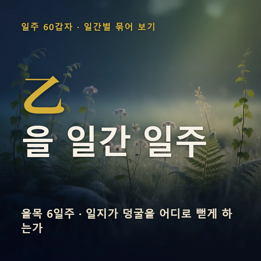 을 일간 일주 표지 — 을목 6일주 · 일지가 덩굴을 어디로 뻗게 하는가