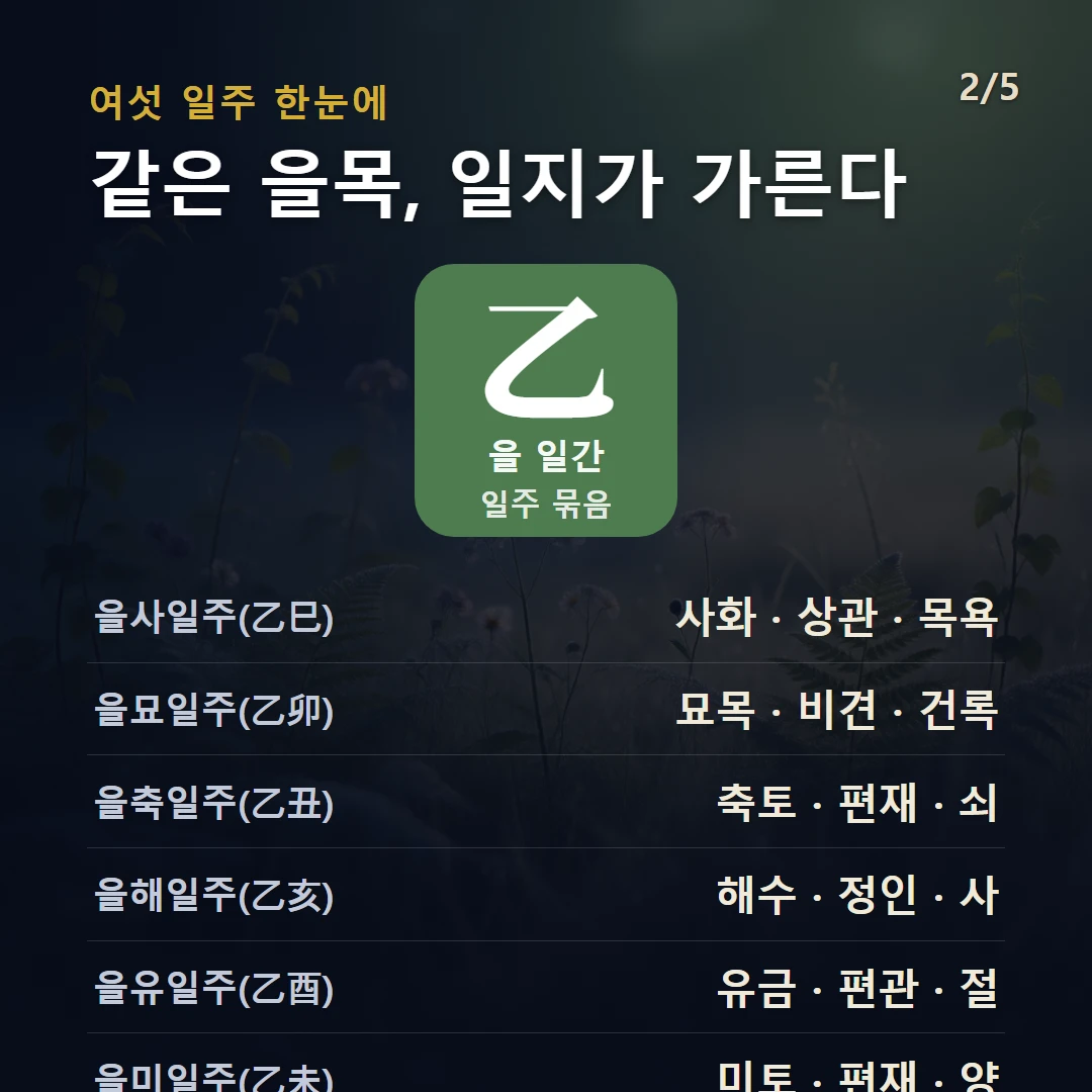 을 일간 일주 구조 — 을목 일간의 여섯 일주(을축·을묘·을사·을미·을유·을해)를 데이터로 비교