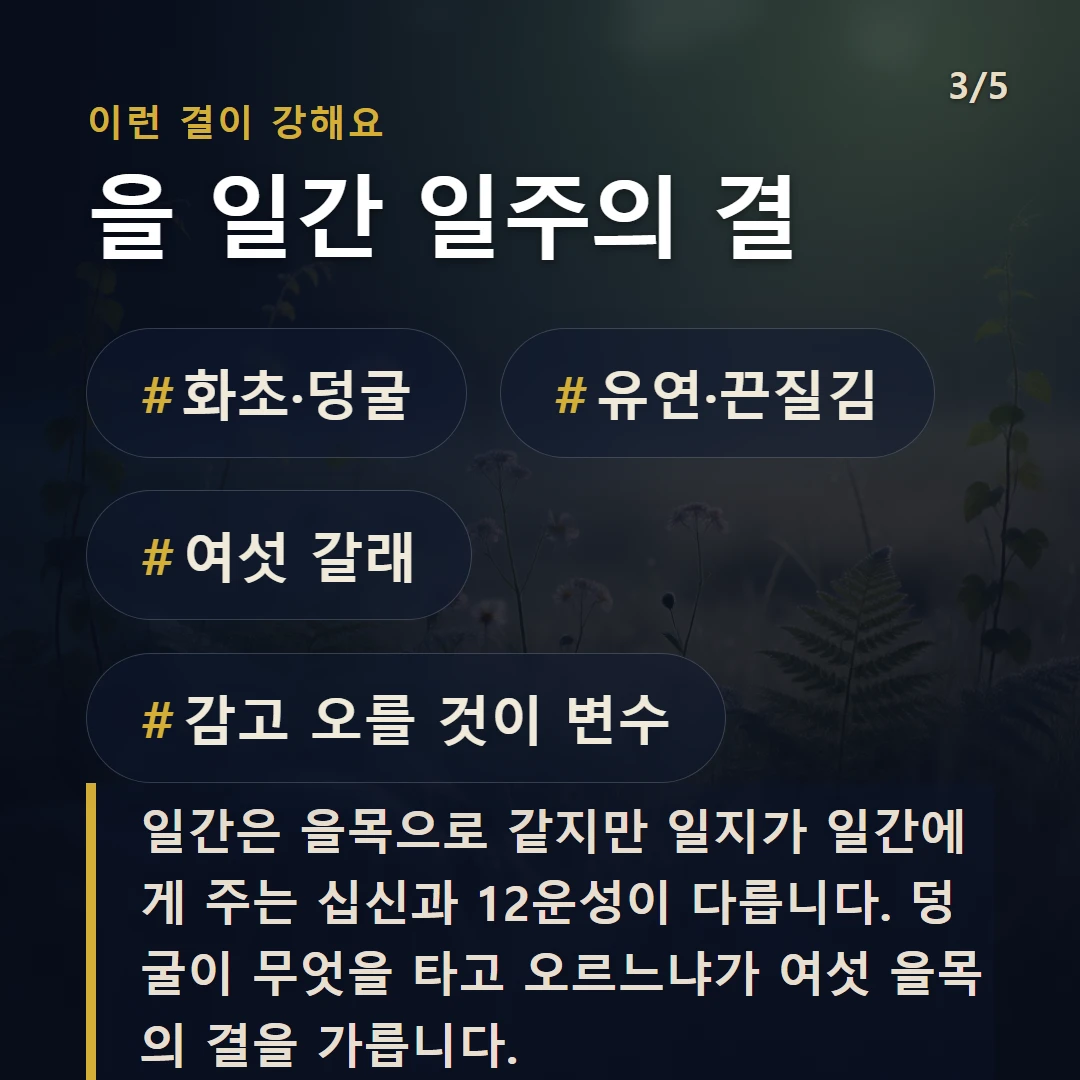 을 일간 일주의 결 — #화초·덩굴 #유연·끈질김 #여섯 갈래 #감고 오를 것이 변수