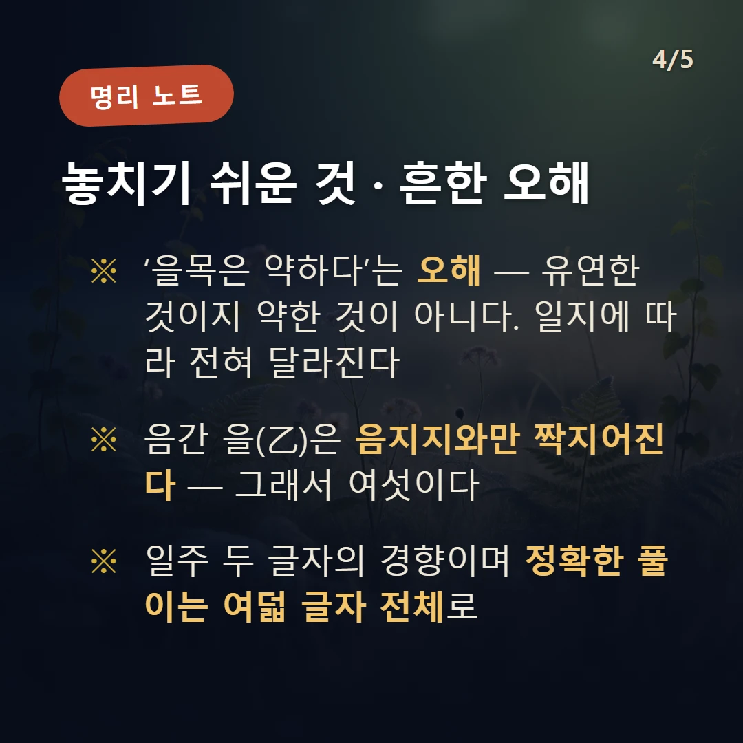 을 일간 일주 주의·오해 — ‘을목은 약하다’는 오해 — 유연한 것이지 약한 것이 아니다. 일지에 따라 전혀 달라진다 / 음간 을(乙)은 음지지와만 짝지어진다 — 그래서 여섯이다 / 일주 두 글자의 경향이며 정확한 풀이는 여덟 글자 전체로