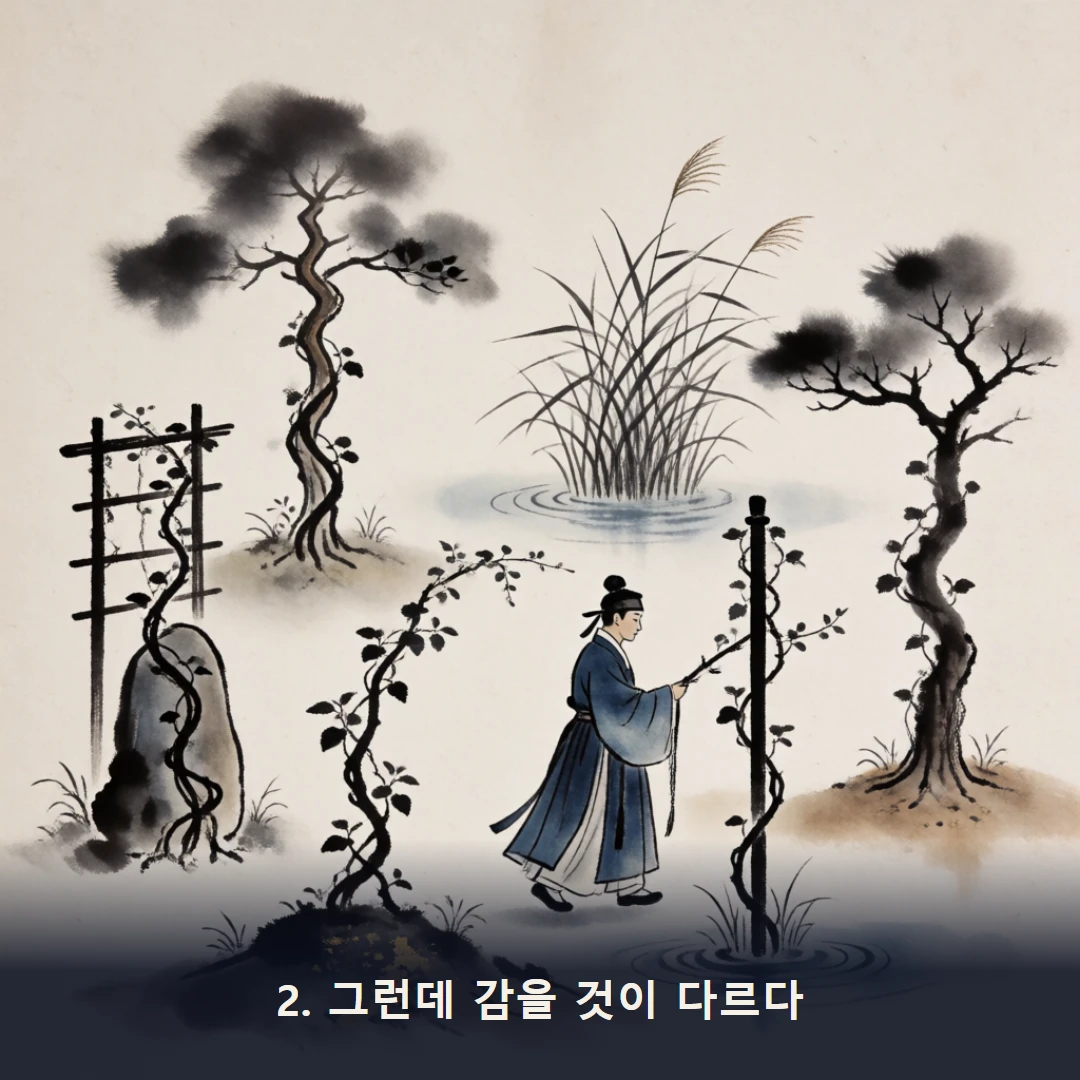 웹툰 2컷 — 2. 그런데 감을 것이 다르다