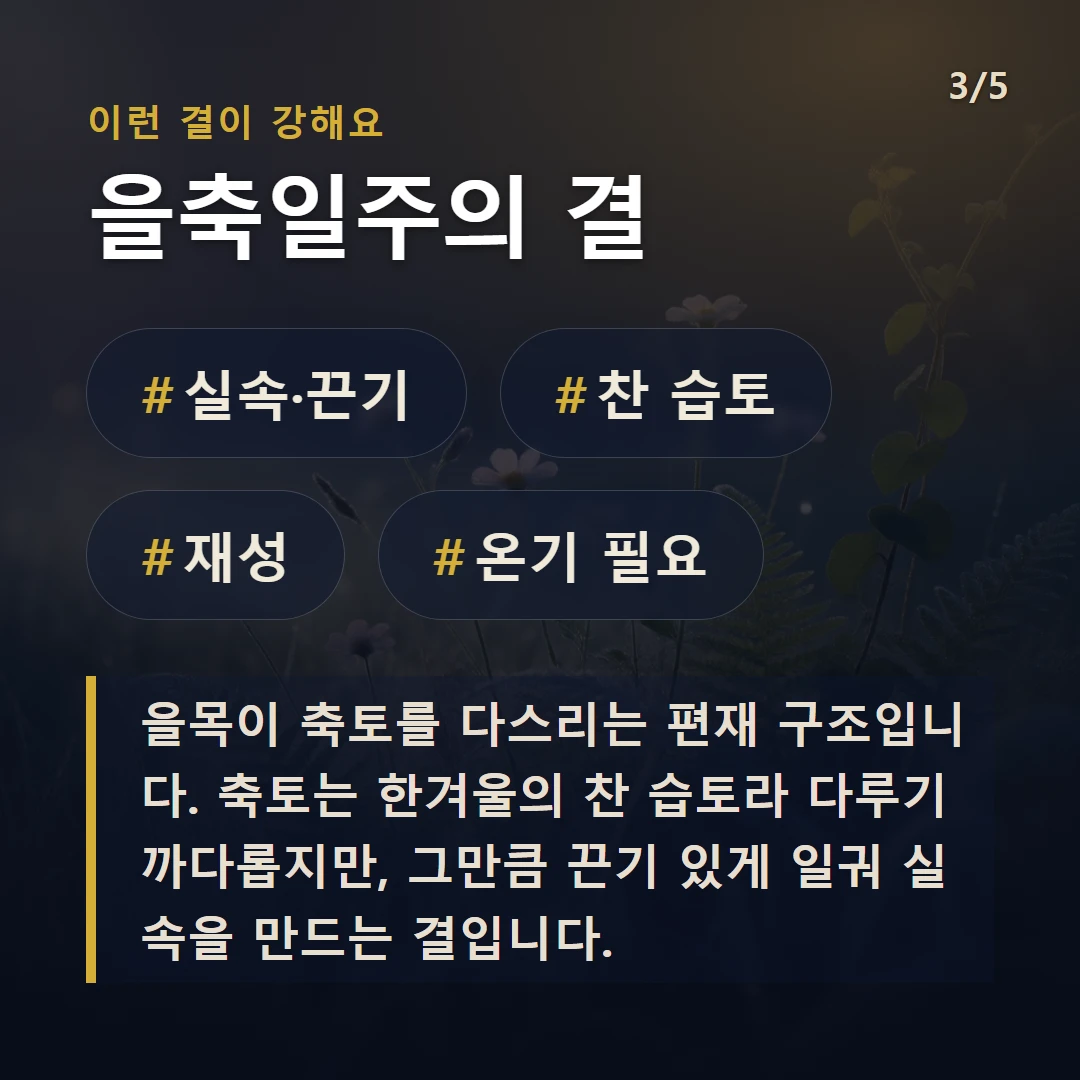 을축일주의 결 — #실속·끈기 #찬 습토 #재성 #온기 필요