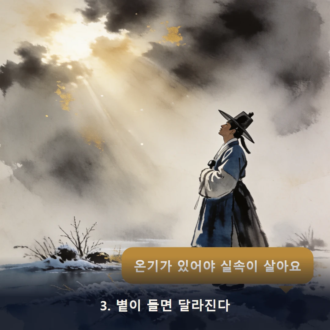 웹툰 3컷 — 3. 볕이 들면 달라진다 (온기가 있어야 실속이 살아요)