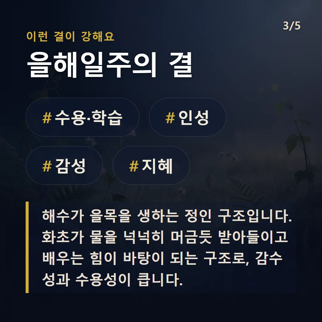 을해일주의 결 — #수용·학습 #인성 #감성 #지혜