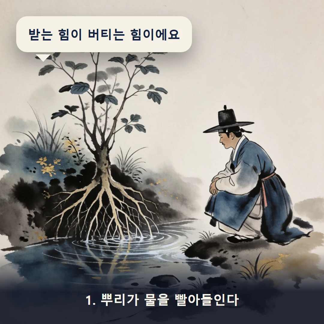 웹툰 1컷 — 1. 뿌리가 물을 빨아들인다 (받는 힘이 버티는 힘이에요)