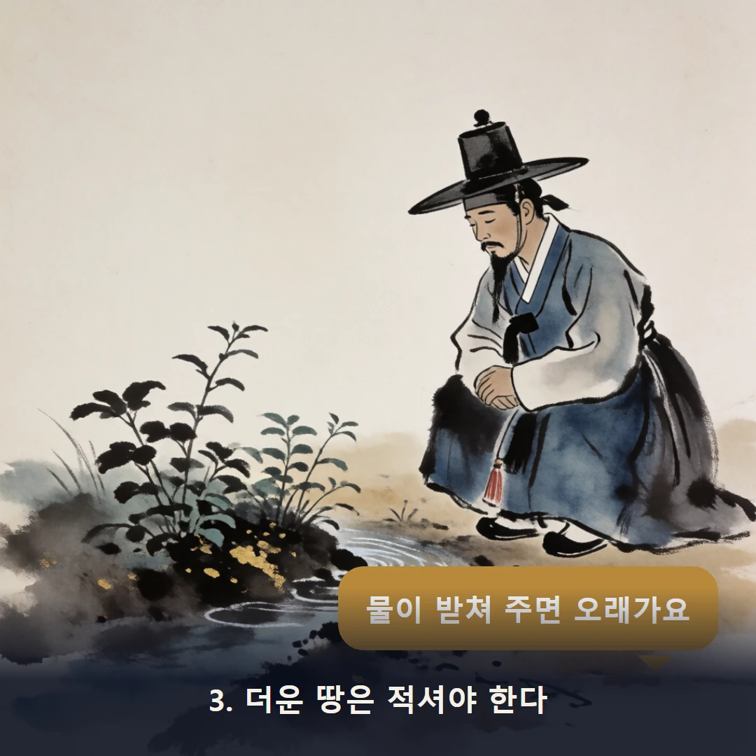 웹툰 3컷 — 3. 더운 땅은 적셔야 한다 (물이 받쳐 주면 오래가요)