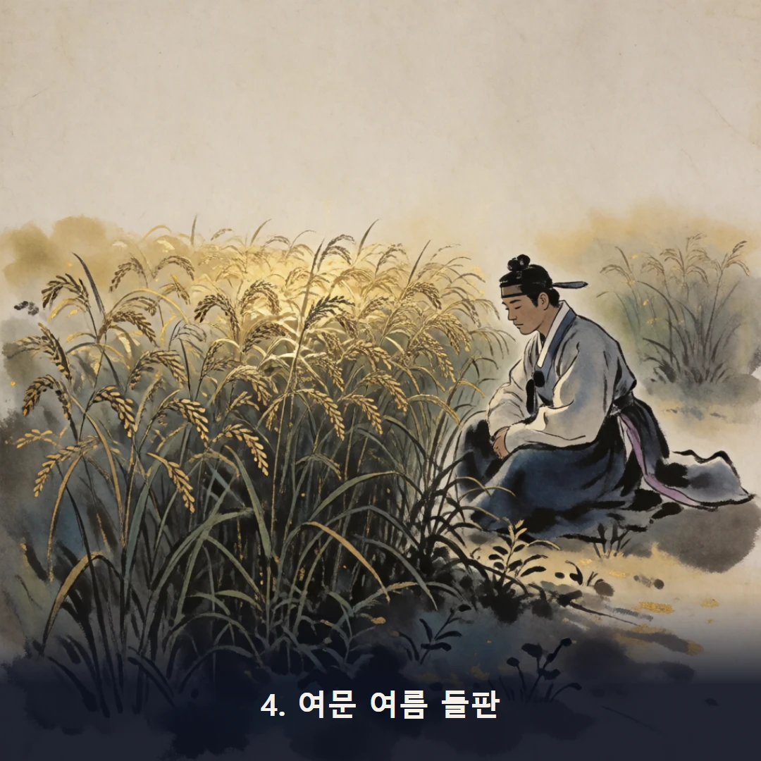 웹툰 4컷 — 4. 여문 여름 들판