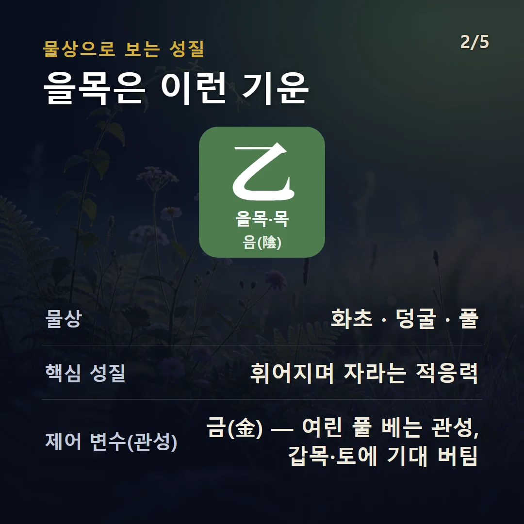 을목 물상·성질 — 목 음, 물상 화초 · 덩굴 · 풀, 휘어지며 자라는 적응력, 제어 변수 금(金) — 여린 풀 베는 관성, 갑목·토에 기대 버팀