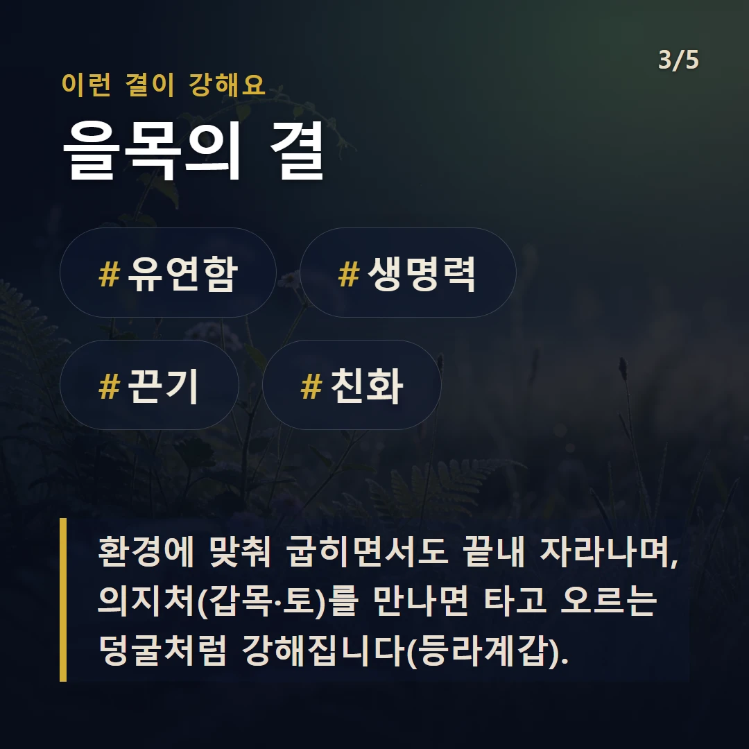 을목의 결 — #유연함 #생명력 #끈기 #친화