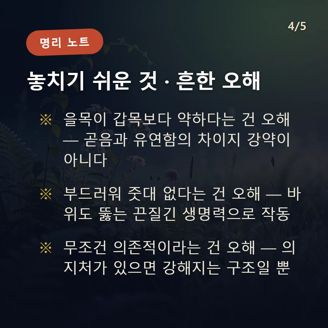 을목 주의·오해 — 을목이 갑목보다 약하다는 건 오해 — 곧음과 유연함의 차이지 강약이 아니다 / 부드러워 줏대 없다는 건 오해 — 바위도 뚫는 끈질긴 생명력으로 작동 / 무조건 의존적이라는 건 오해 — 의지처가 있으면 강해지는 구조일 뿐