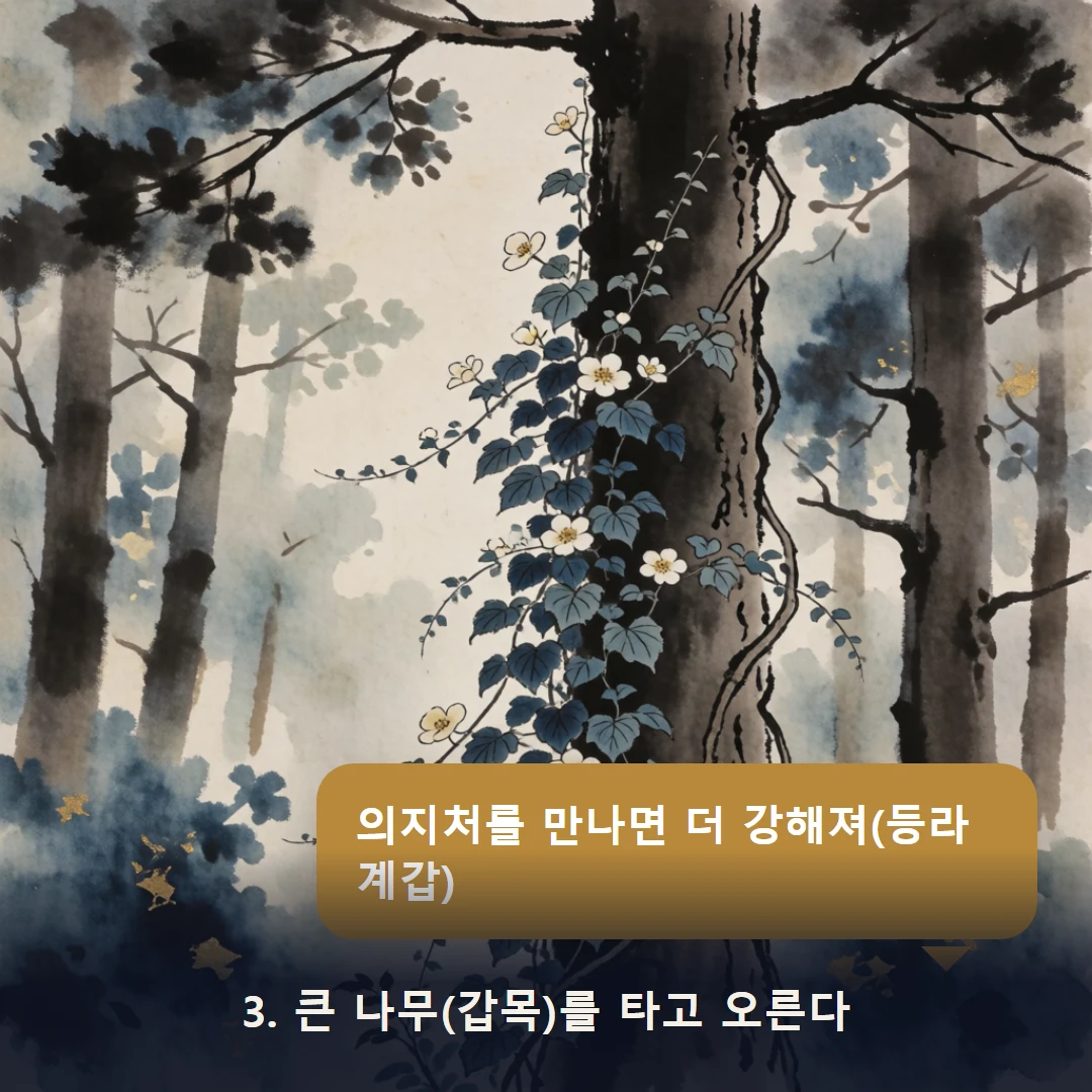 웹툰 3컷 — 3. 큰 나무(갑목)를 타고 오른다 (의지처를 만나면 더 강해져(등라계갑))
