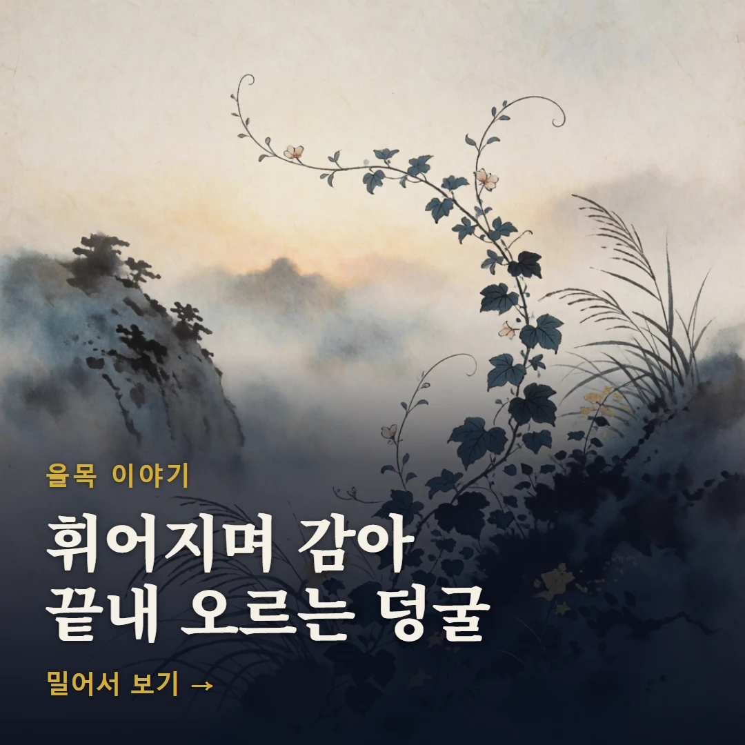 을목 이야기 표지 — 휘어지며 감아 끝내 오르는 덩굴