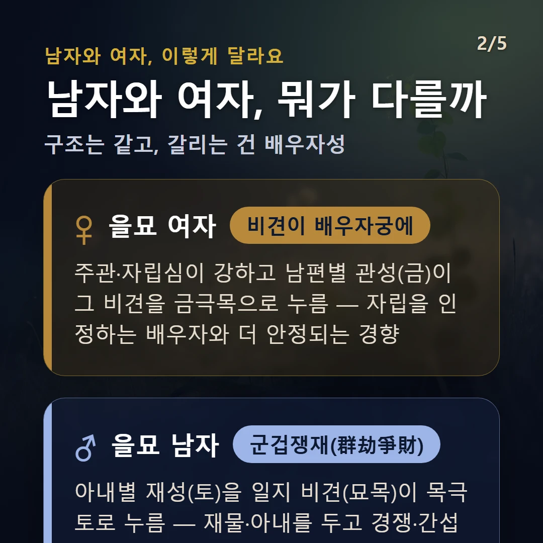을묘일주 남녀 차이 — 여자 비견이 배우자궁에: 주관·자립심이 강하고 남편별 관성(금)이 그 비견을 금극목으로 누름 — 자립을 인정하는 배우자와 더 안정되는 경향 / 남자 군겁쟁재(群劫爭財): 아내별 재성(토)을 일지 비견(묘목)이 목극토로 누름 — 재물·아내를 두고 경쟁·간섭이 끼어들기 쉬운 결