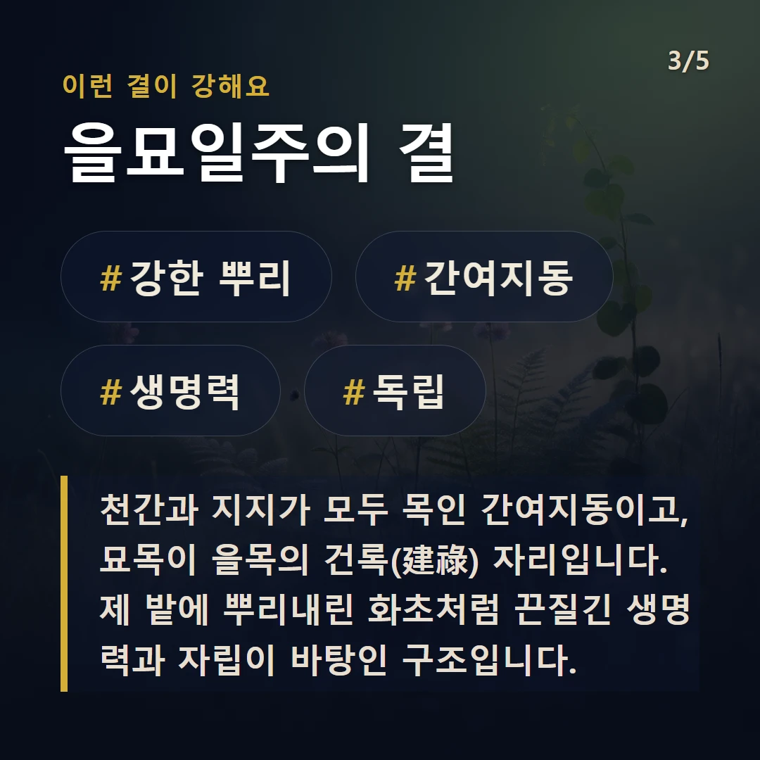 을묘일주의 결 — #강한 뿌리 #간여지동 #생명력 #독립