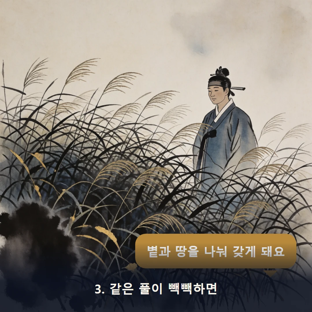 웹툰 3컷 — 3. 같은 풀이 빽빽하면 (볕과 땅을 나눠 갖게 돼요)