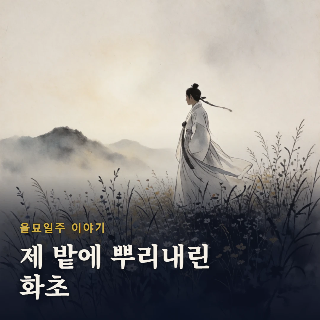 을묘일주 이야기 표지 — 제 밭에 뿌리내린 화초