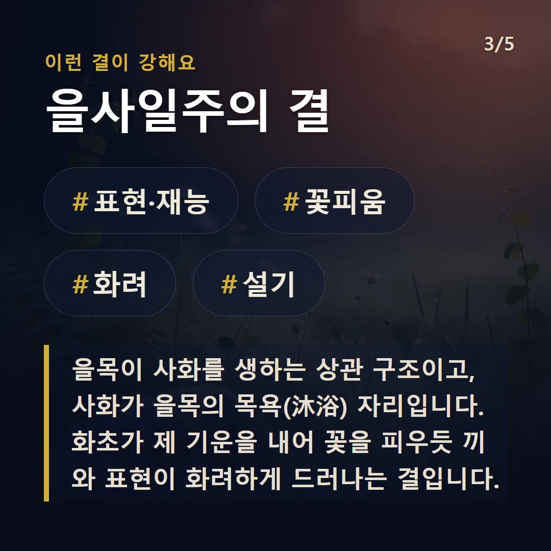 을사일주의 결 — #표현·재능 #꽃피움 #화려 #설기