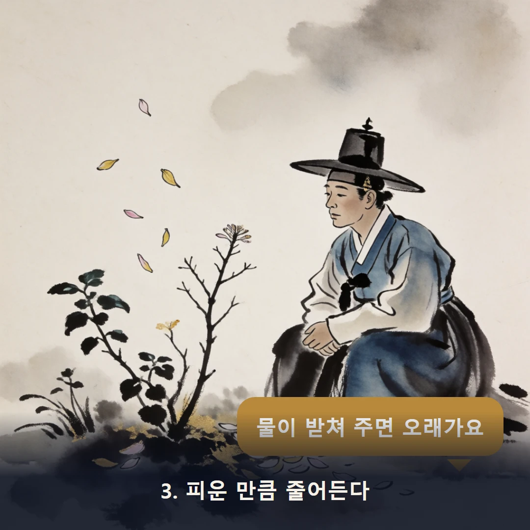 웹툰 3컷 — 3. 피운 만큼 줄어든다 (물이 받쳐 주면 오래가요)