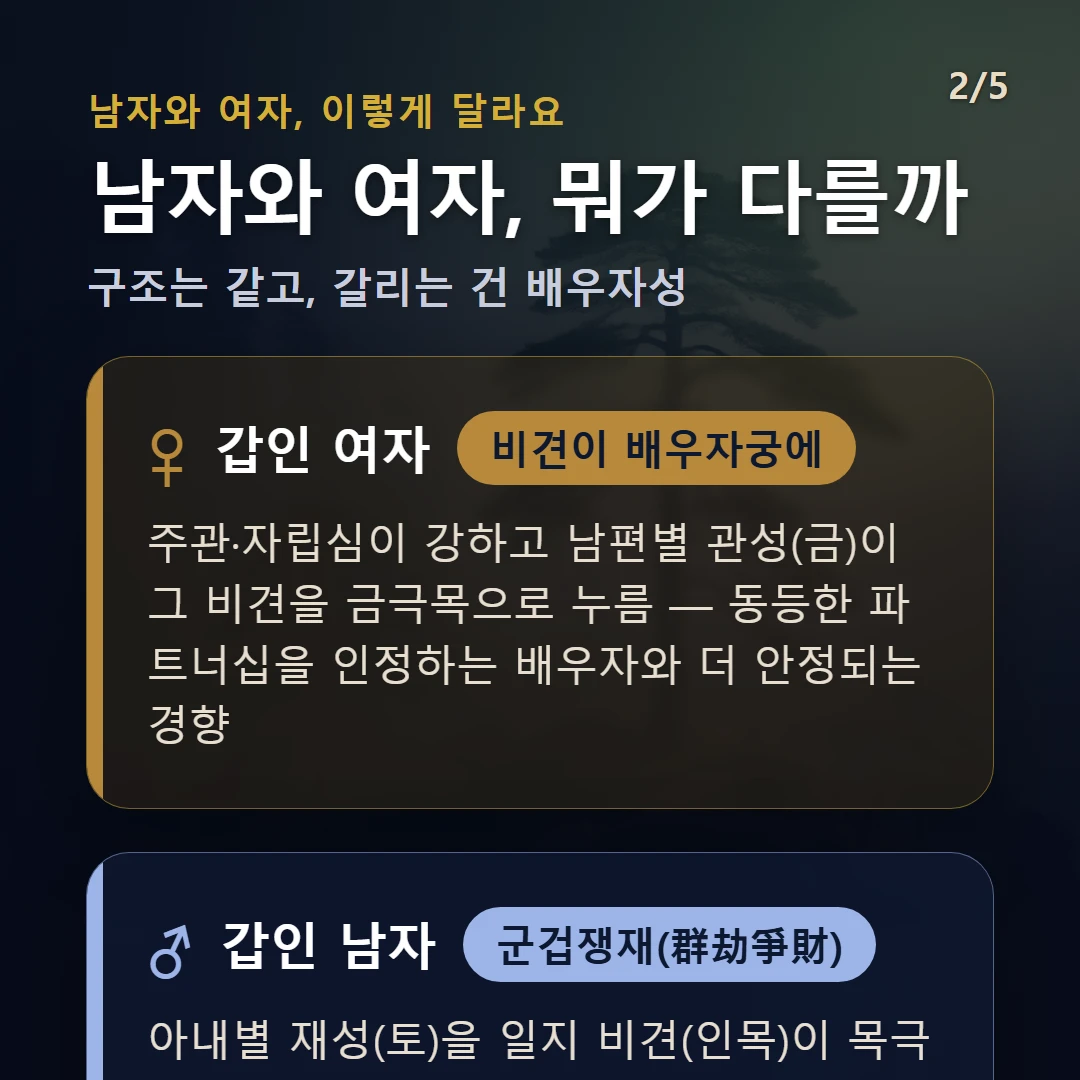 갑인일주 남녀 차이 — 여자 비견이 배우자궁에: 주관·자립심이 강하고 남편별 관성(금)이 그 비견을 금극목으로 누름 — 동등한 파트너십을 인정하는 배우자와 더 안정되는 경향 / 남자 군겁쟁재(群劫爭財): 아내별 재성(토)을 일지 비견(인목)이 목극토로 누름 — 재물·아내를 두고 경쟁·간섭이 끼어들기 쉬운 결