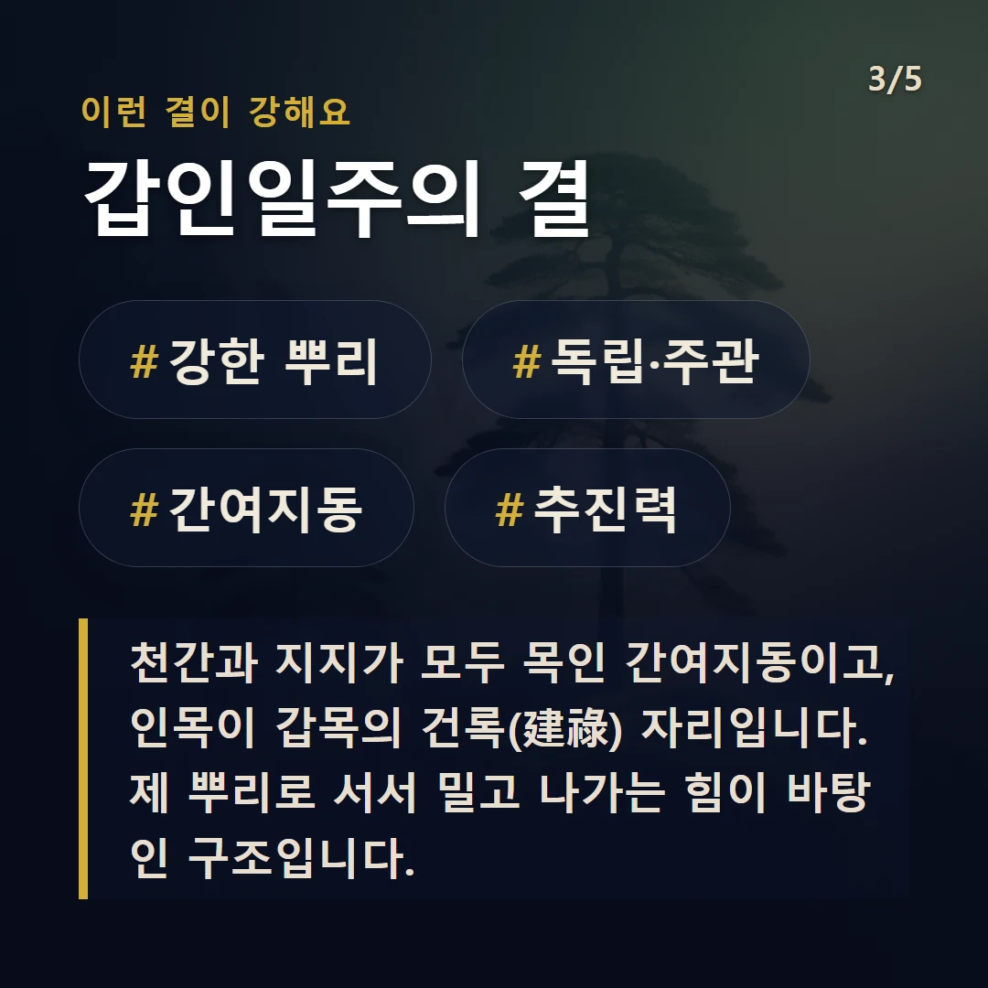 갑인일주의 결 — #강한 뿌리 #독립·주관 #간여지동 #추진력