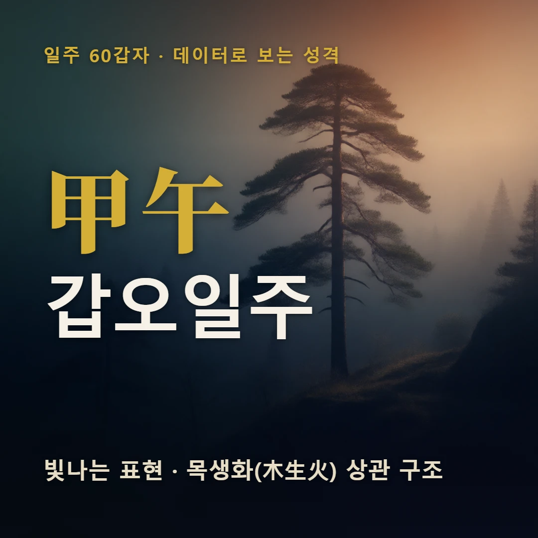갑오일주 표지 — 빛나는 표현 · 목생화(木生火) 상관 구조