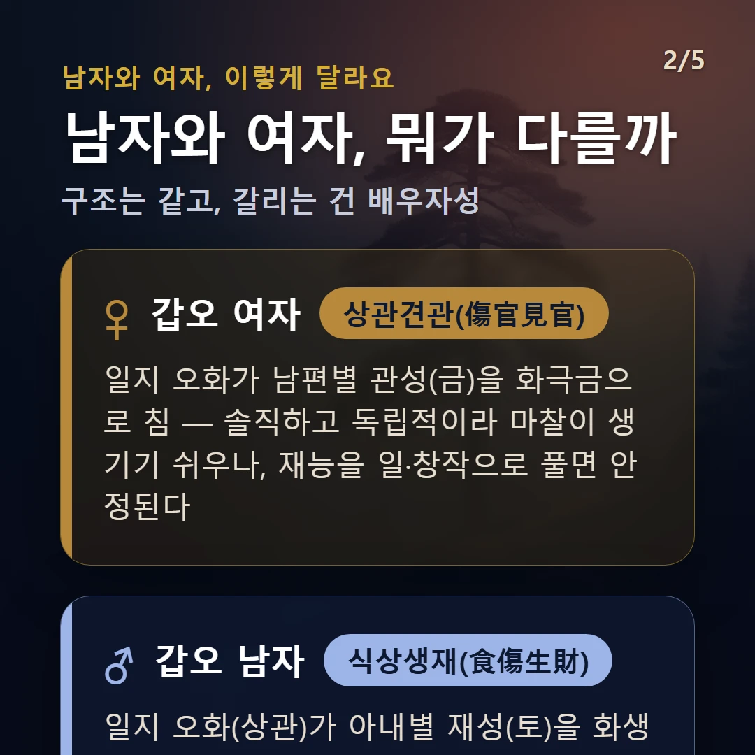 갑오일주 남녀 차이 — 여자 상관견관(傷官見官): 일지 오화가 남편별 관성(금)을 화극금으로 침 — 솔직하고 독립적이라 마찰이 생기기 쉬우나, 재능을 일·창작으로 풀면 안정된다 / 남자 식상생재(食傷生財): 일지 오화(상관)가 아내별 재성(토)을 화생토로 생 — 표현력·재능으로 재물과 인연을 끌어오는 우호적 결