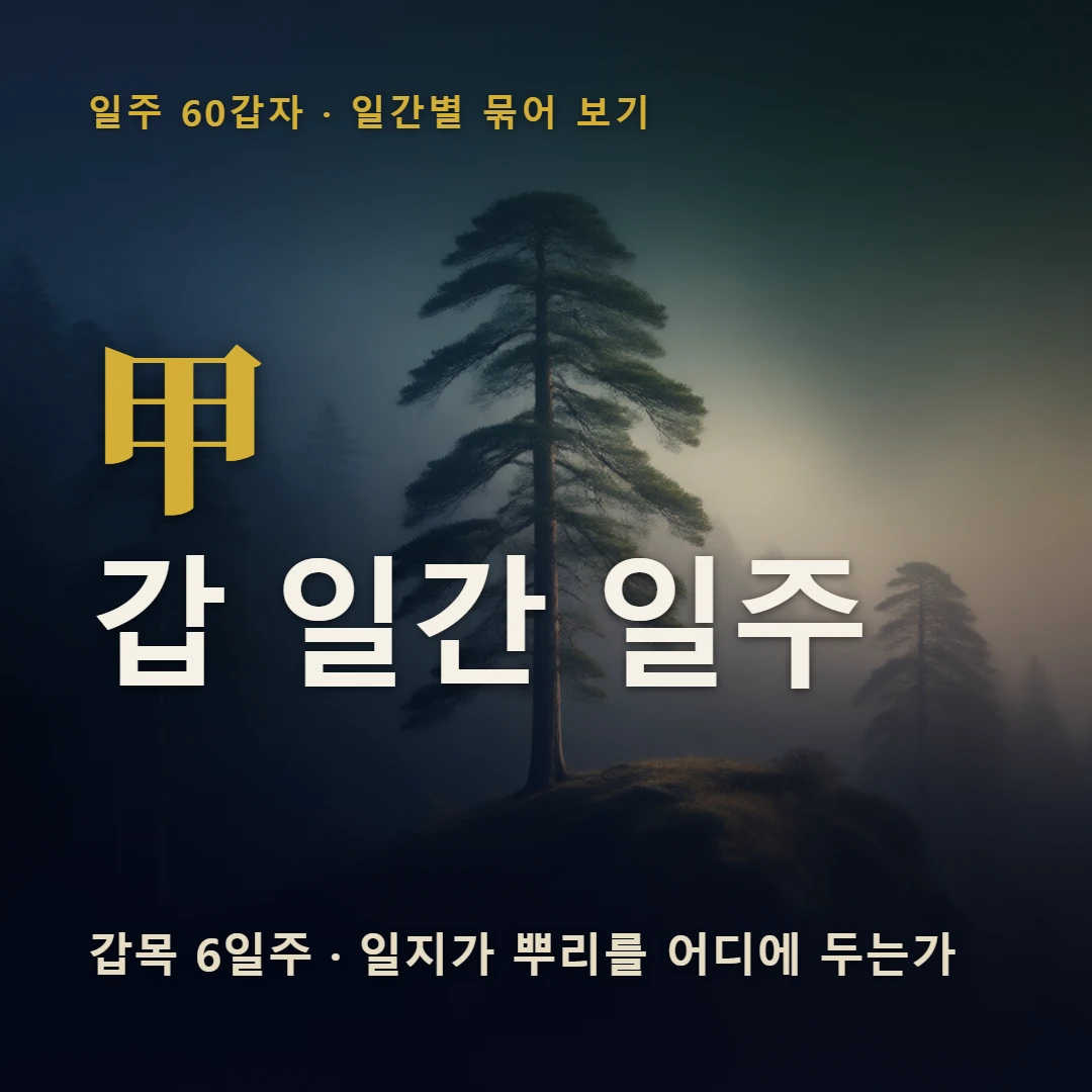 갑 일간 일주 표지 — 갑목 6일주 · 일지가 뿌리를 어디에 두는가