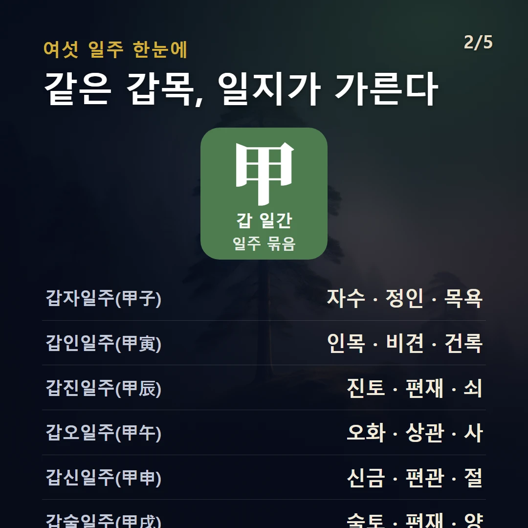 갑 일간 일주 구조 — 갑목 일간의 여섯 일주(갑자·갑인·갑진·갑오·갑신·갑술)를 데이터로 비교