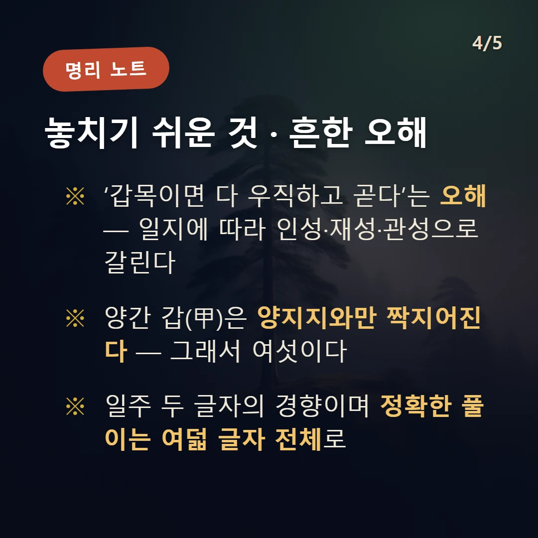 갑 일간 일주 주의·오해 — ‘갑목이면 다 우직하고 곧다’는 오해 — 일지에 따라 인성·재성·관성으로 갈린다 / 양간 갑(甲)은 양지지와만 짝지어진다 — 그래서 여섯이다 / 일주 두 글자의 경향이며 정확한 풀이는 여덟 글자 전체로