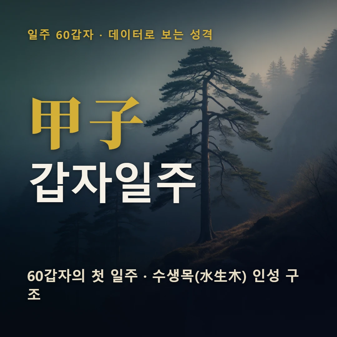 갑자일주 표지 — 60갑자의 첫 일주 · 수생목(水生木) 인성 구조