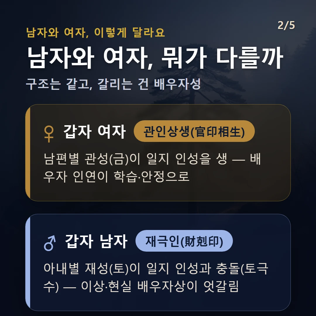 갑자일주 남녀 차이 — 여자 관인상생(官印相生): 남편별 관성(금)이 일지 인성을 생 — 배우자 인연이 학습·안정으로 / 남자 재괴인(財壞印): 아내별 재성(토)이 일지 인성과 충돌(토극수) — 이상·현실 배우자상이 엇갈림