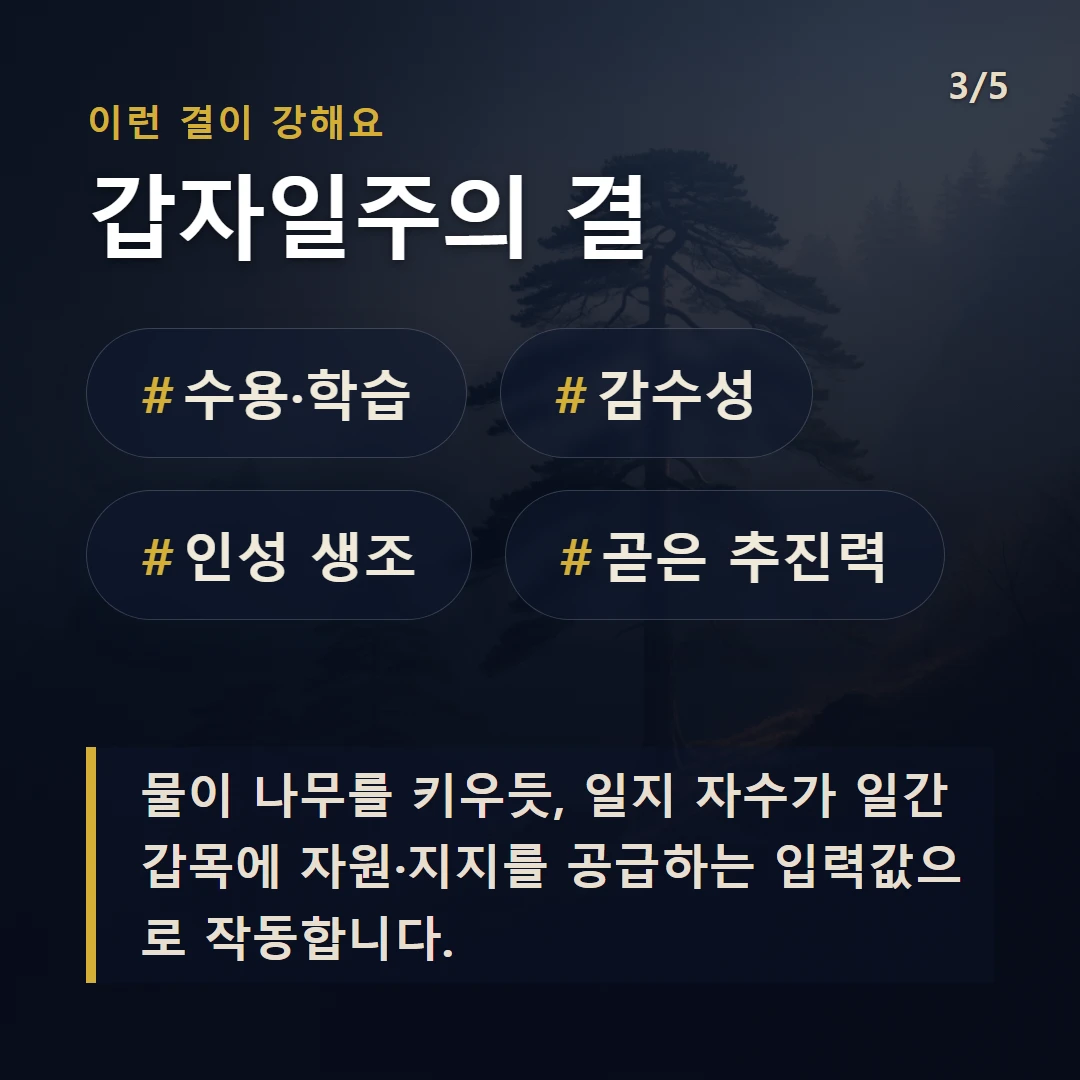 갑자일주의 결 — #수용·학습 #감수성 #인성 생조 #곧은 추진력