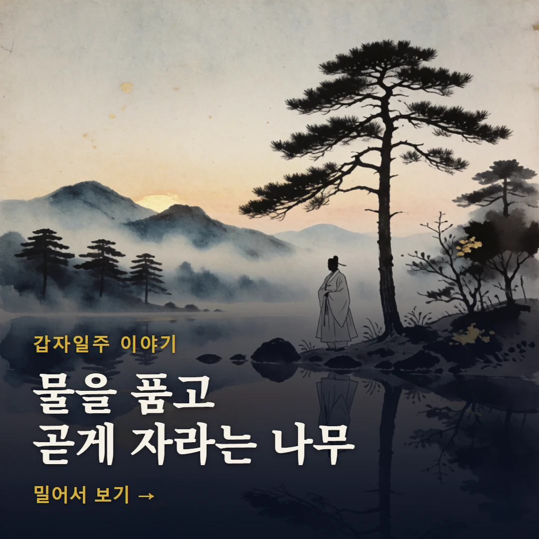 갑자일주 이야기 표지 — 물을 품고 곧게 자라는 나무