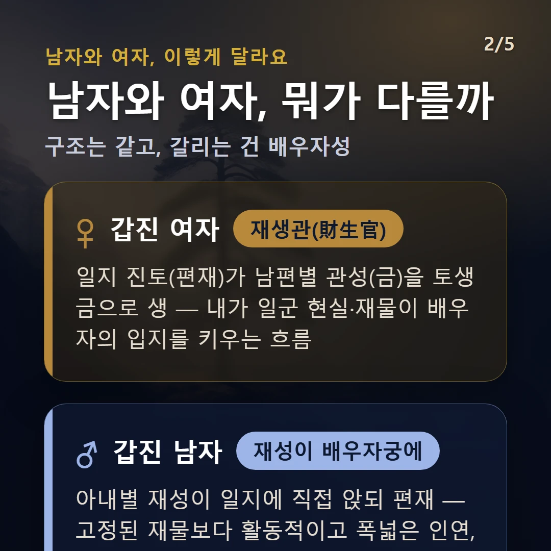 갑진일주 남녀 차이 — 여자 재생관(財生官): 일지 진토(편재)가 남편별 관성(금)을 토생금으로 생 — 내가 일군 현실·재물이 배우자의 입지를 키우는 흐름 / 남자 재성이 배우자궁에: 아내별 재성이 일지에 직접 앉되 편재 — 고정된 재물보다 활동적이고 폭넓은 인연, 비옥한 습토처럼 현실 감각·수완이 강점