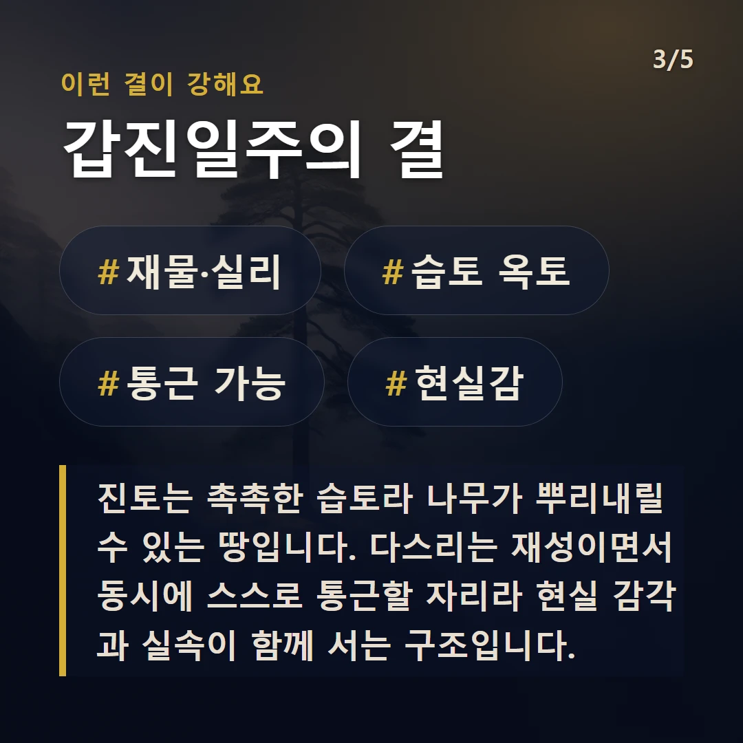 갑진일주의 결 — #재물·실리 #습토 옥토 #통근 가능 #현실감
