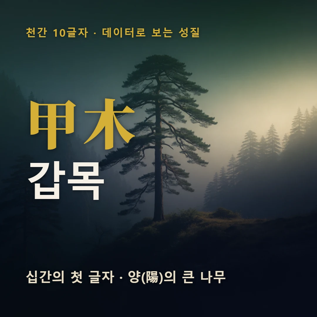 갑목 표지 — 십간의 첫 글자 · 양(陽)의 큰 나무