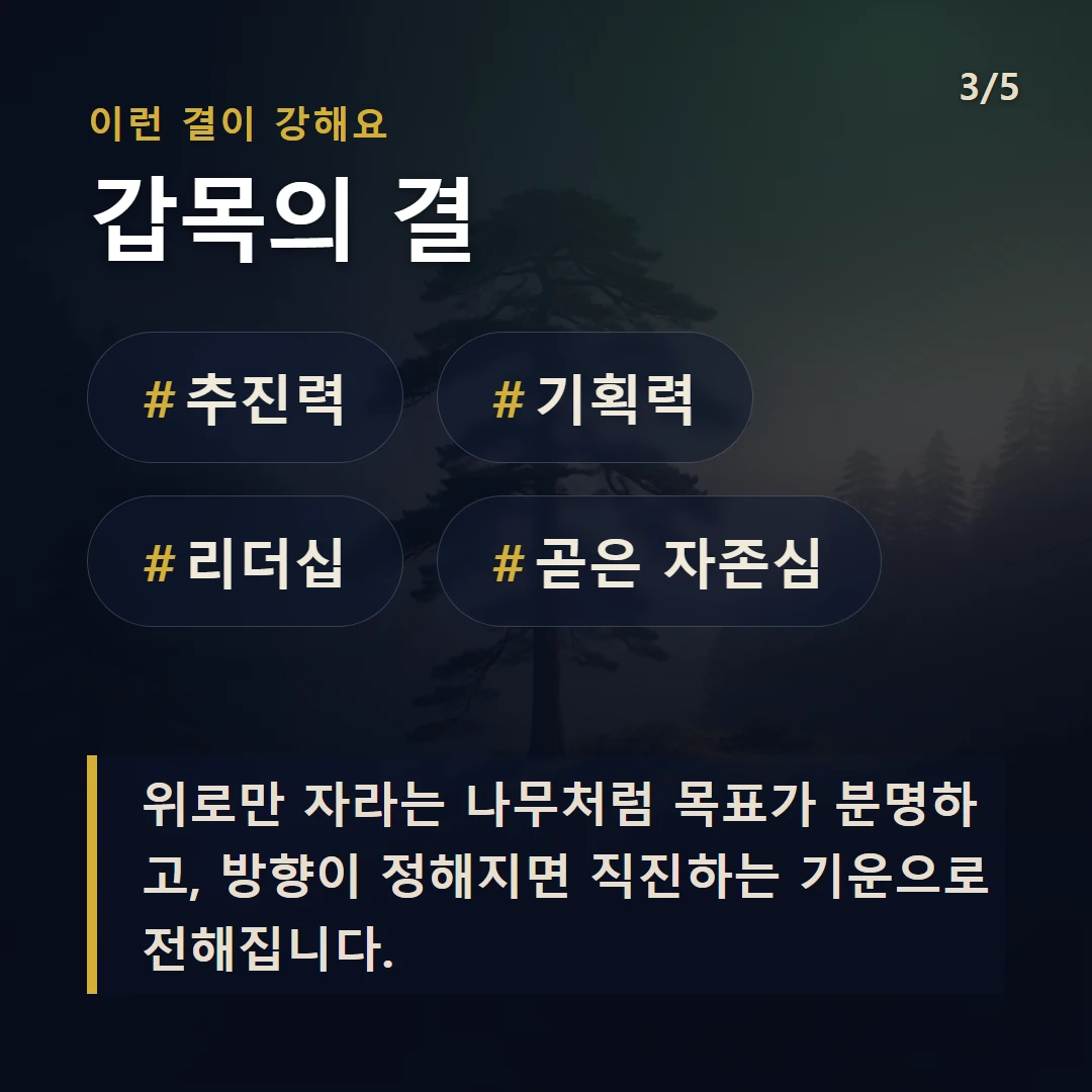 갑목의 결 — #추진력 #기획력 #리더십 #곧은 자존심