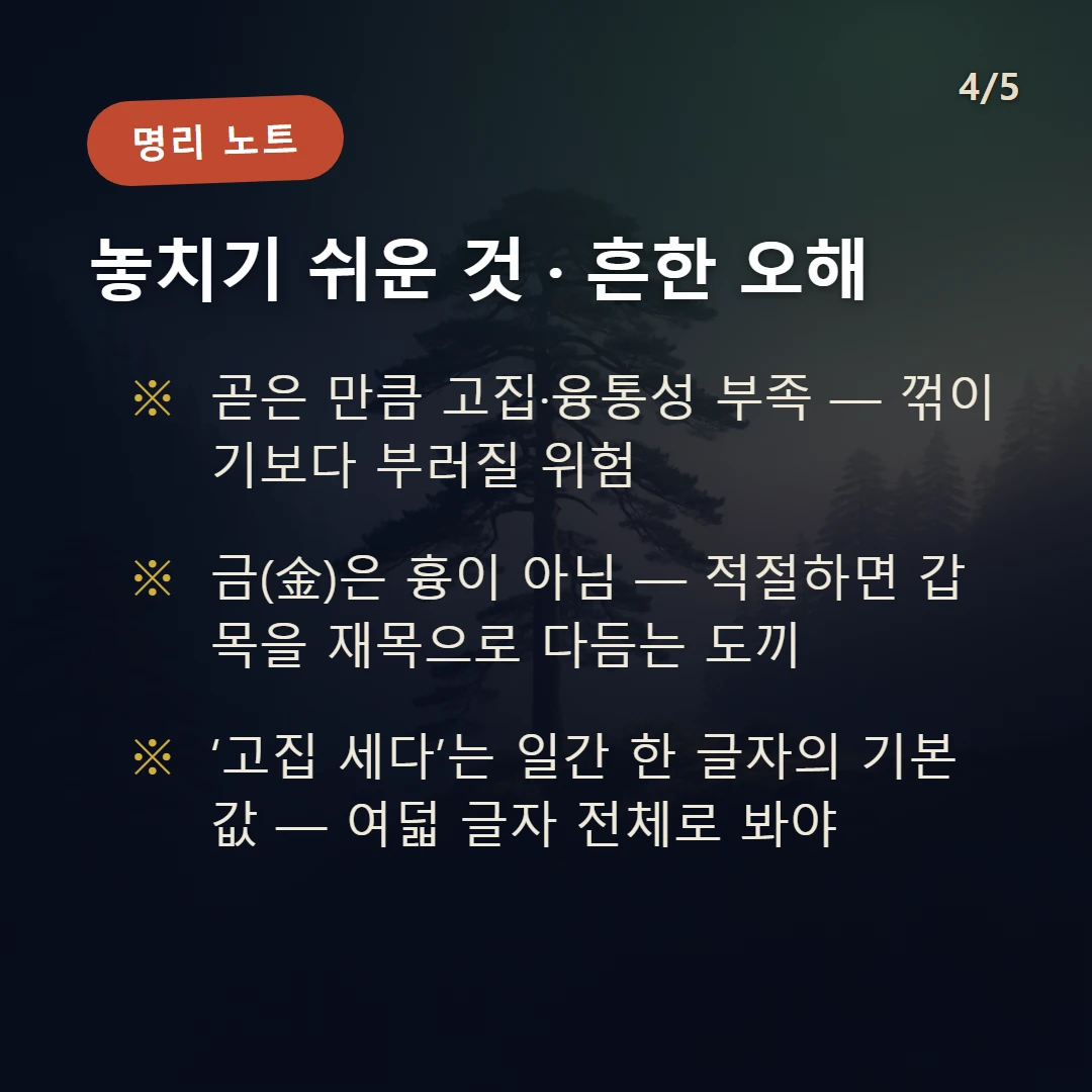 갑목 주의·오해 — 곧은 만큼 고집·융통성 부족 — 꺾이기보다 부러질 위험 / 금(金)은 흉이 아님 — 적절하면 갑목을 재목으로 다듬는 도끼 / ‘고집 세다’는 일간 한 글자의 기본값 — 여덟 글자 전체로 봐야