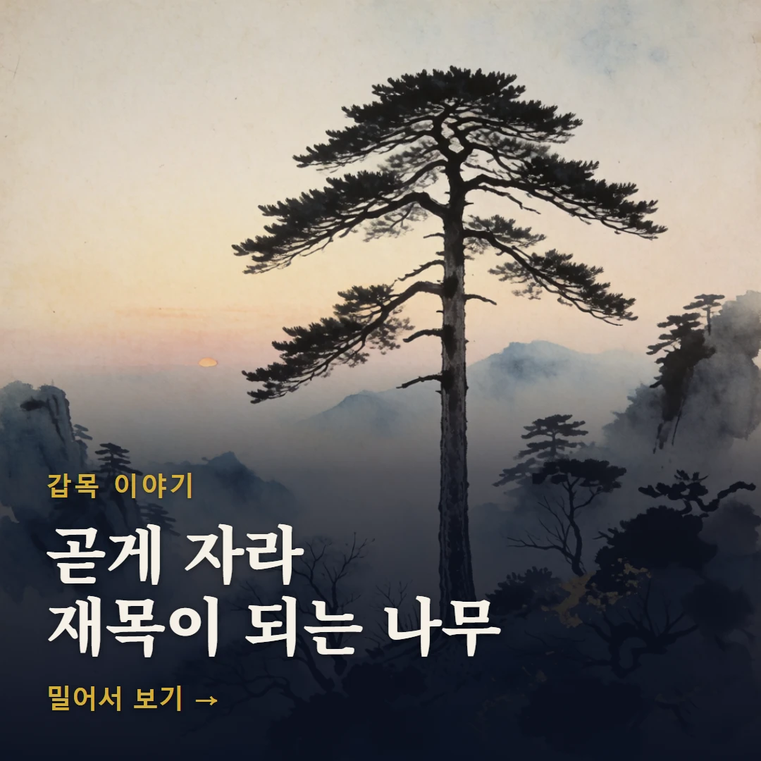 갑목 이야기 표지 — 곧게 자라 재목이 되는 나무