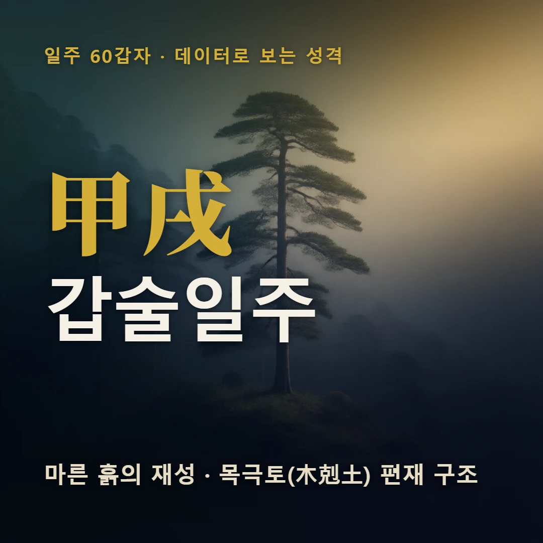 갑술일주 표지 — 마른 흙의 재성 · 목극토(木剋土) 편재 구조