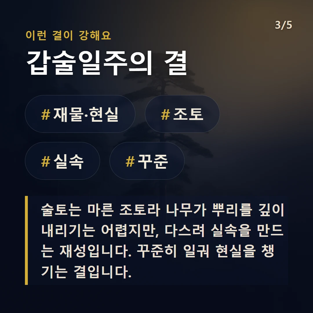 갑술일주의 결 — #재물·현실 #조토 #실속 #꾸준