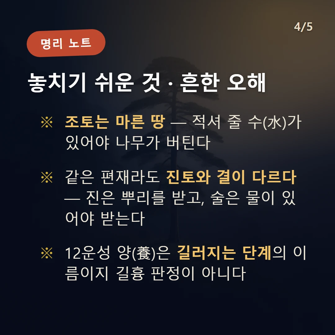 갑술일주 주의·오해 — 조토는 마른 땅 — 적셔 줄 수(水)가 있어야 나무가 버틴다 / 같은 편재라도 진토와 결이 다르다 — 진은 뿌리를 받고, 술은 물이 있어야 받는다 / 12운성 양(養)은 길러지는 단계의 이름이지 길흉 판정이 아니다